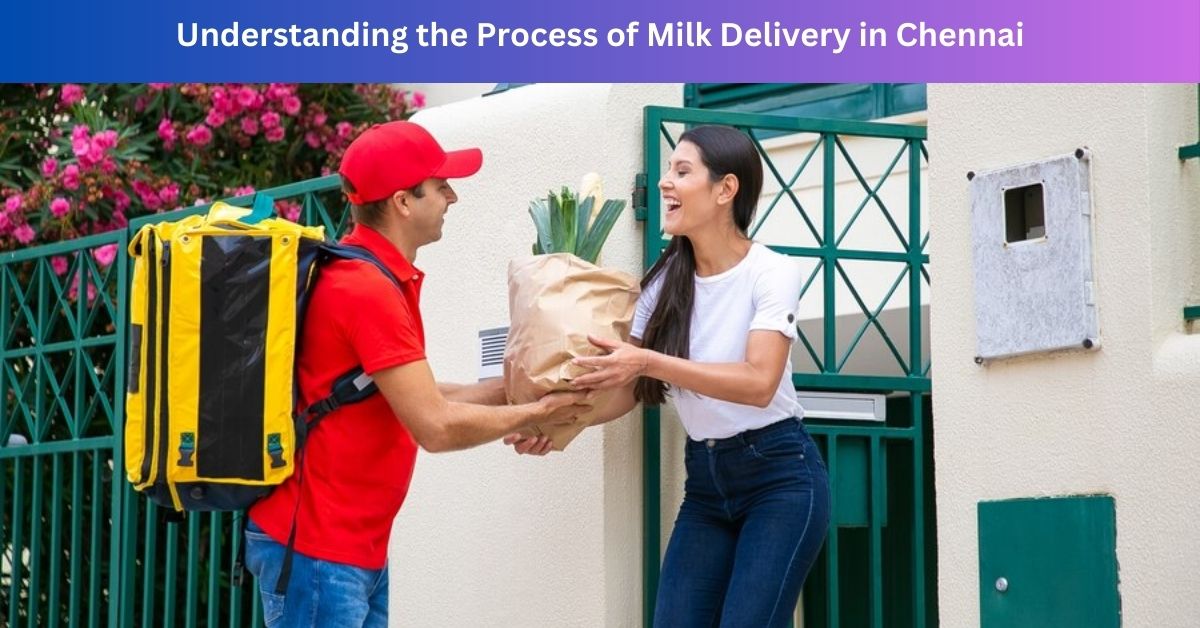 Understanding the Process of Milk Delivery in Chennai